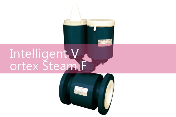 Intelligent Vortex Steam Flow Meter